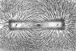 Jernfilspåner langs magnetfletlinjerne om en magnet