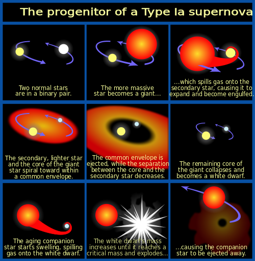 Tegneserier over forløbet, der førertil en type 1a supernova