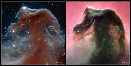 Hestehoved-stjernetågen set i hhv. infrarød og synligt lys